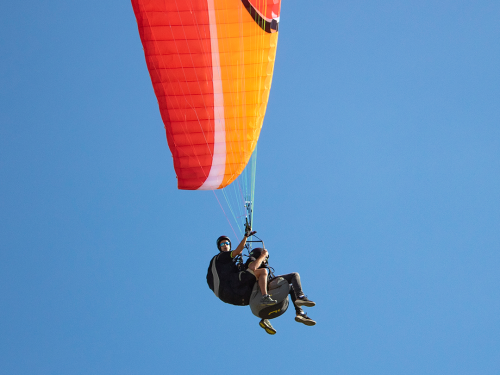 Which is the best paragliding harness?
