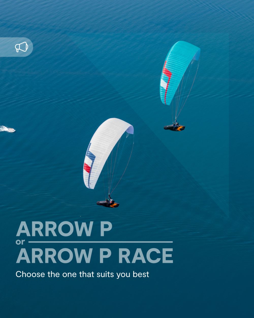 Arrow P vs Arrow P Race. Which one suits you best?