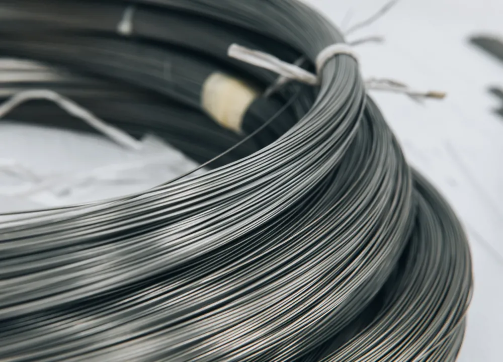 Roamer 2 P – ultraleicht, durchdacht und für dich gemacht